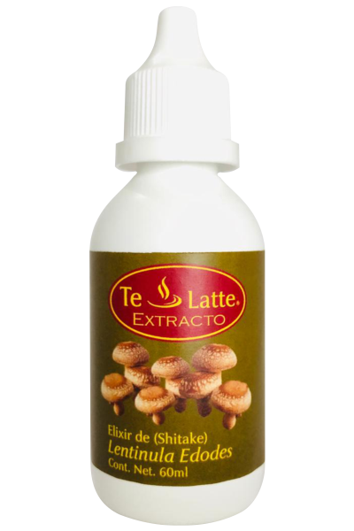 Te Latte Café - Elixir  de Lentinula edodes, SHIITAKE